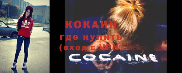 хмурый Гусев