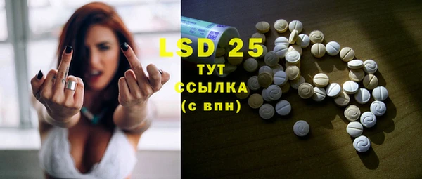 ГАЛЛЮЦИНОГЕННЫЕ ГРИБЫ Гусь-Хрустальный