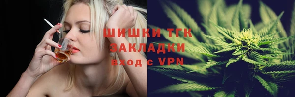 ГАЛЛЮЦИНОГЕННЫЕ ГРИБЫ Гусь-Хрустальный