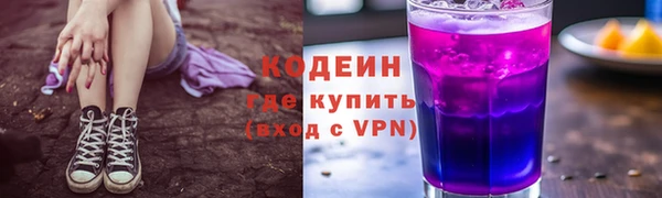 ГАЛЛЮЦИНОГЕННЫЕ ГРИБЫ Гусь-Хрустальный