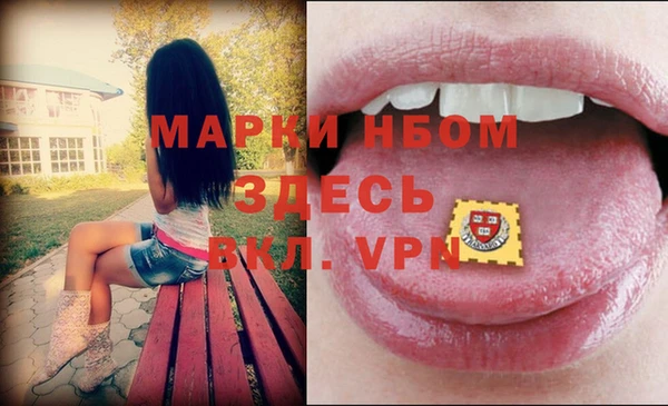 хмурый Гусев