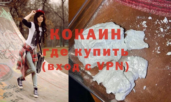 ГАЛЛЮЦИНОГЕННЫЕ ГРИБЫ Гусь-Хрустальный