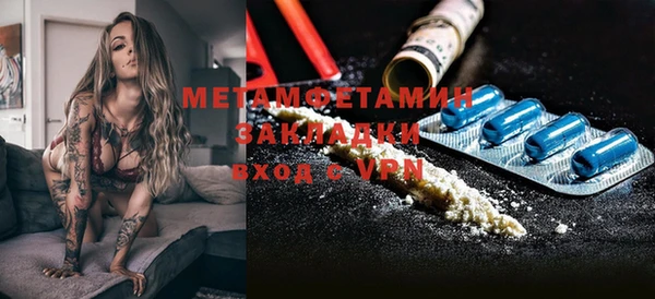 ГАЛЛЮЦИНОГЕННЫЕ ГРИБЫ Гусь-Хрустальный