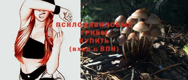 экстази Гусиноозёрск