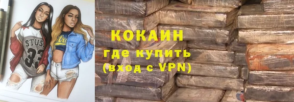 хмурый Гусев