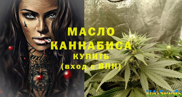 хмурый Гусев
