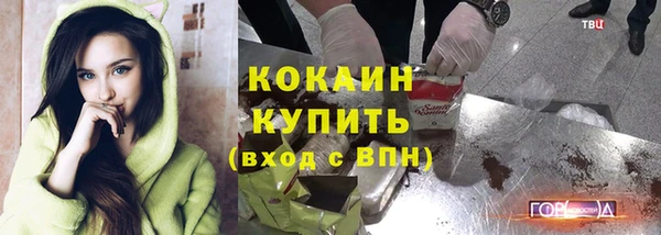 ГАЛЛЮЦИНОГЕННЫЕ ГРИБЫ Гусь-Хрустальный