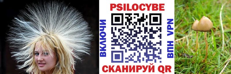 Галлюциногенные грибы мицелий  купить закладку  Бугуруслан 
