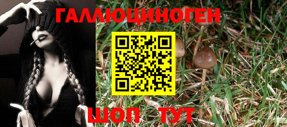 Галлюциногенные грибы MAGIC MUSHROOMS Бугуруслан