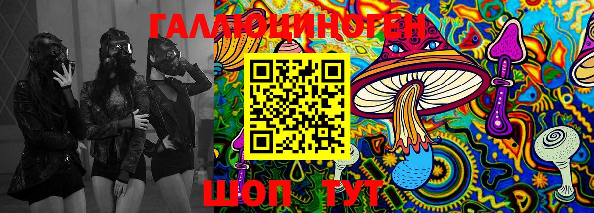 Псилоцибиновые грибы MAGIC MUSHROOMS  Вход с VPN  Псилоцибиновые грибы Psilocybine cubensis  Бугуруслан 