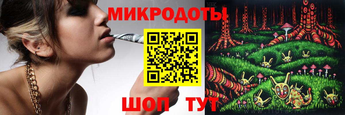 Галлюциногенные грибы Psilocybe Бугуруслан